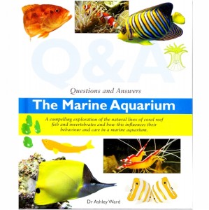 Ip Questions & Answers Of The Marine Aquarium